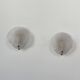Pair of shell wall lights, frosted glass, France, 1970.