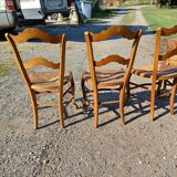 6 Old Straw Chairs in Fruit Tree