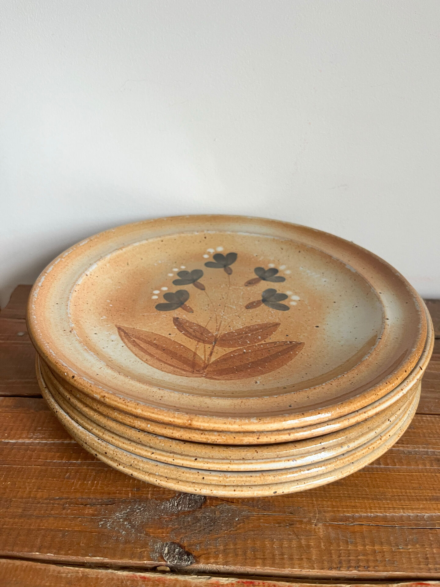 6 assiettes plates en grès 