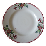 Plat à gâteau pied douche Sarreguemines