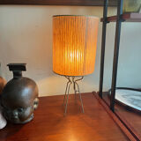 Rafia lamp