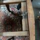 Regency dining table. Solid oak.