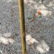 Vintage floor lamp in gilded brass with 5 glass tulips from the 50s