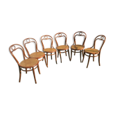 6 Thonet chairs