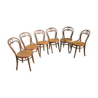 6 Thonet chairs