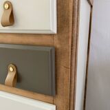 Revamped wooden cabinet