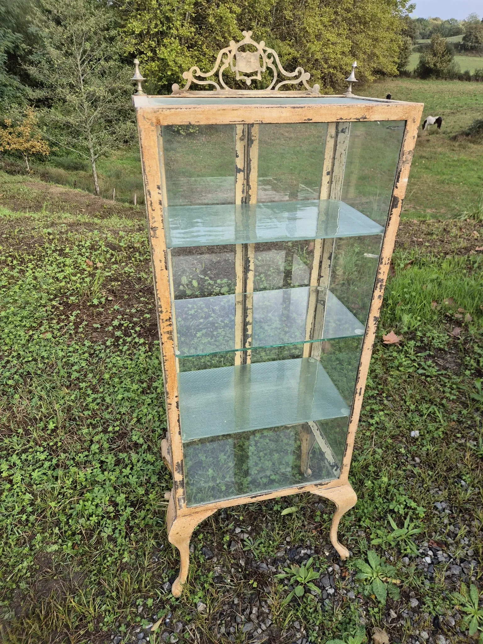 Ancienne vitrine de chirurgien