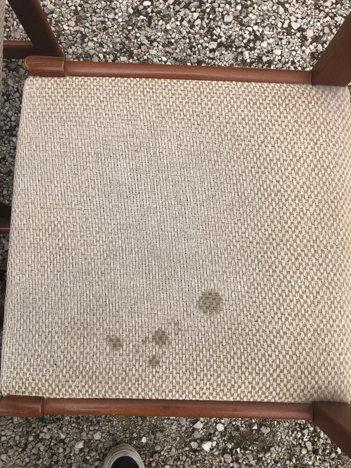 Suite 6 vintage chairs