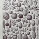 Old illustration Millot "Fruits"