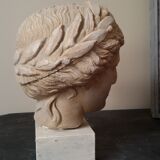 Bust plaster goddess XIX