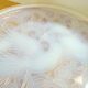 Dish opalescent Bird of paradise signed D'Avesn