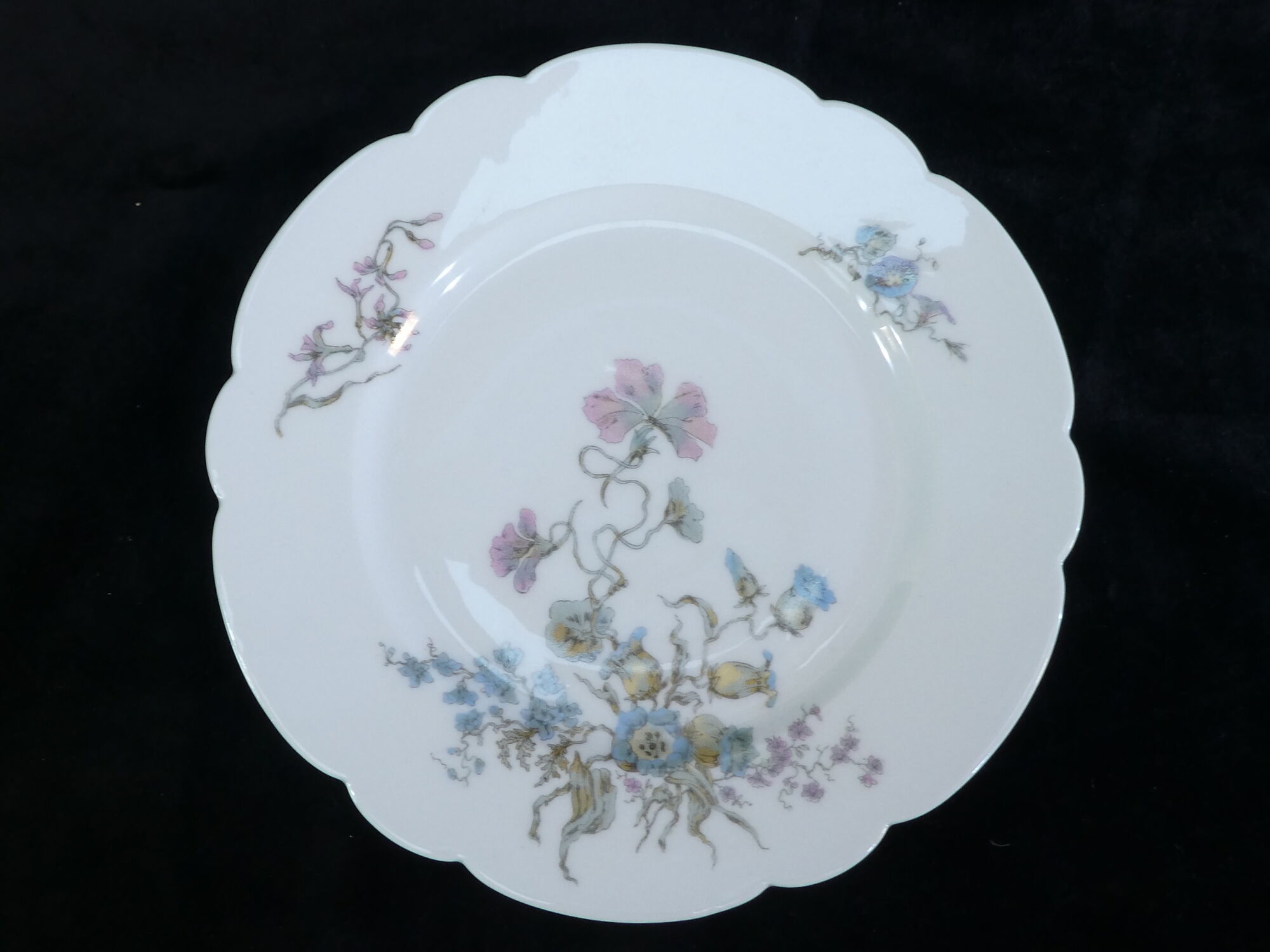 12 Limoges porcelain dinner plates for E.Bourgeois Paris
