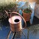 Vintage copper watering can 60s/70s