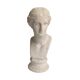 Buste de Venus