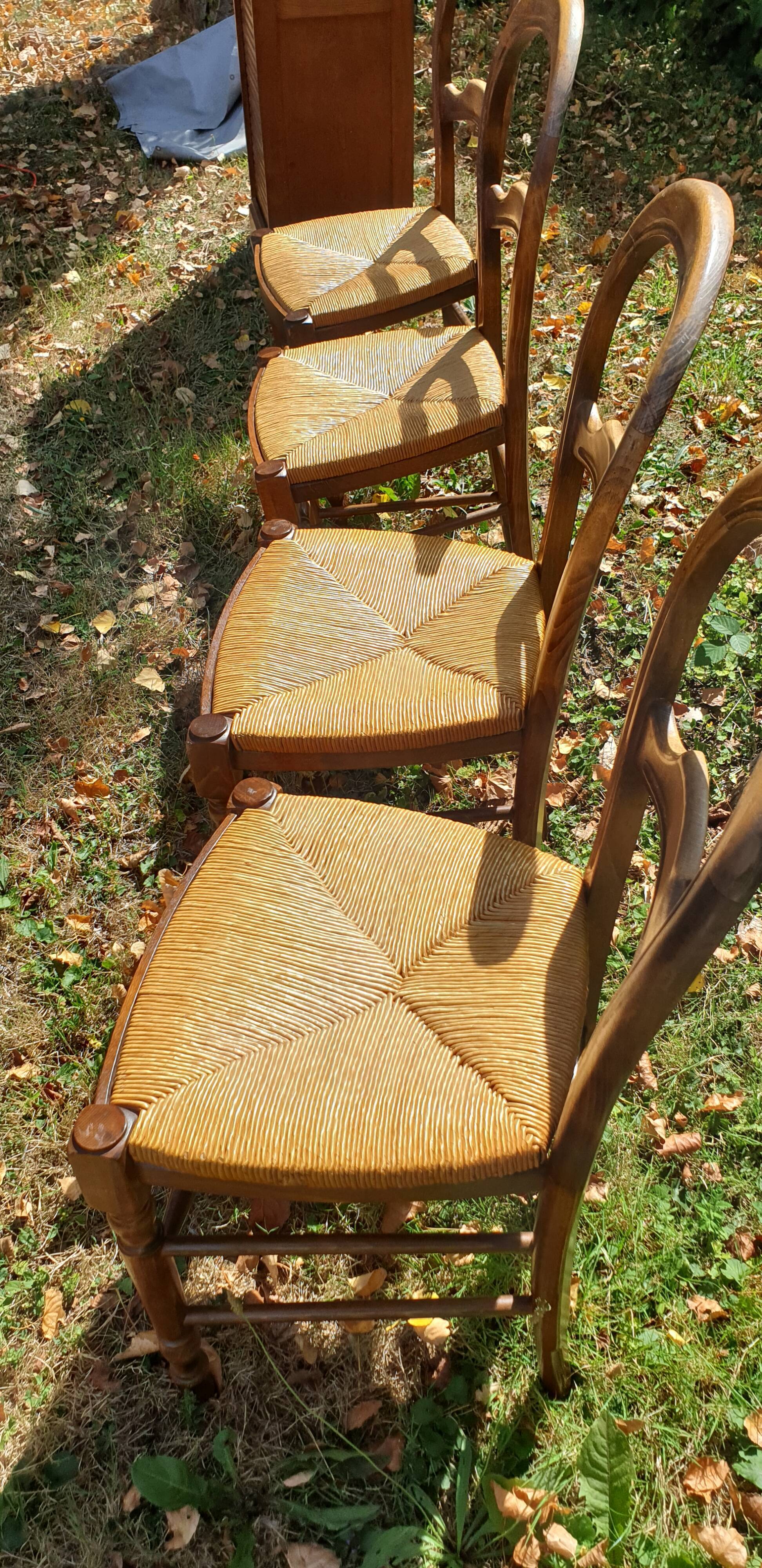 Straw chairs louis Philippe