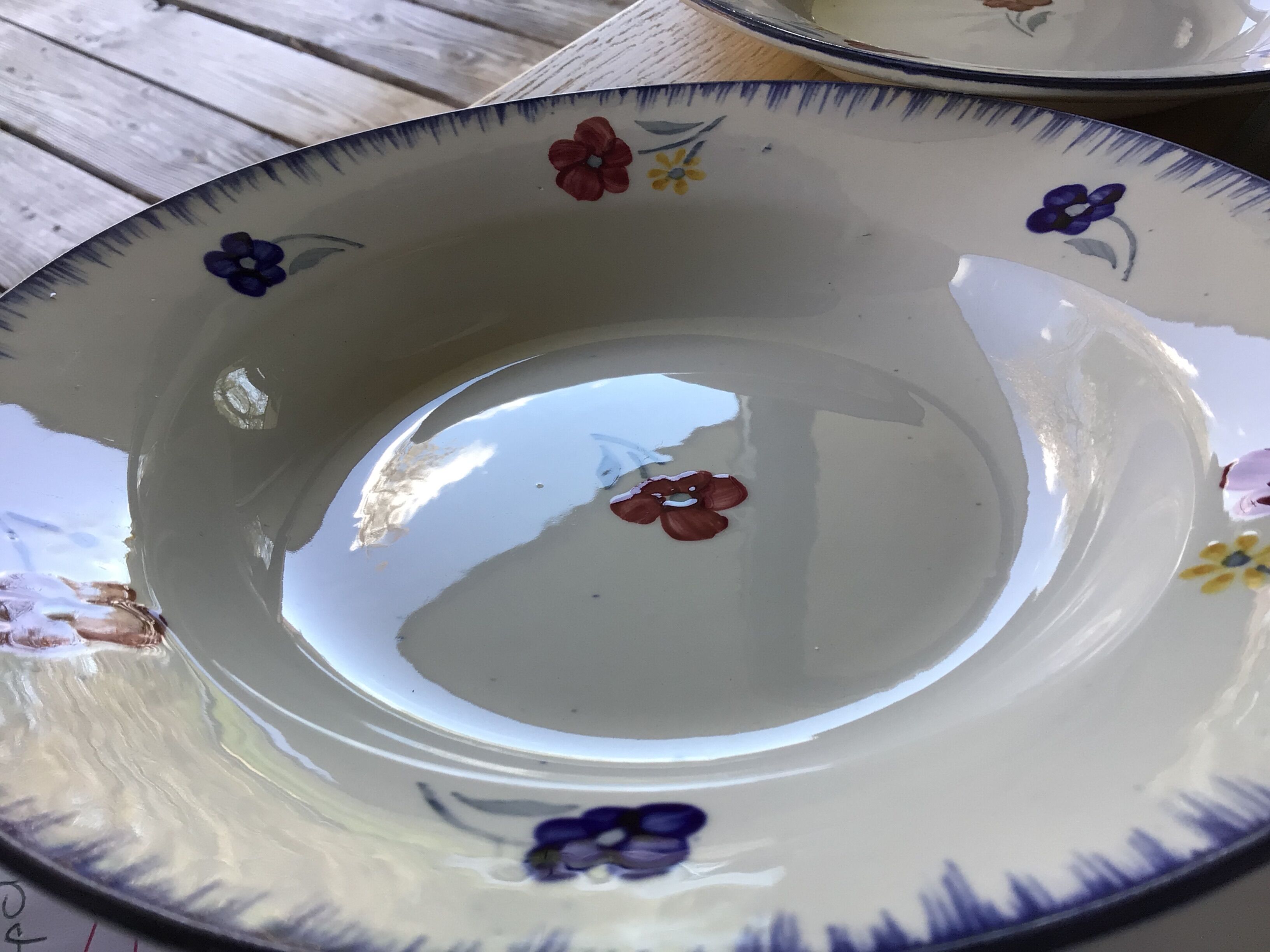 5 mary lou digoin blue edge hollow plates