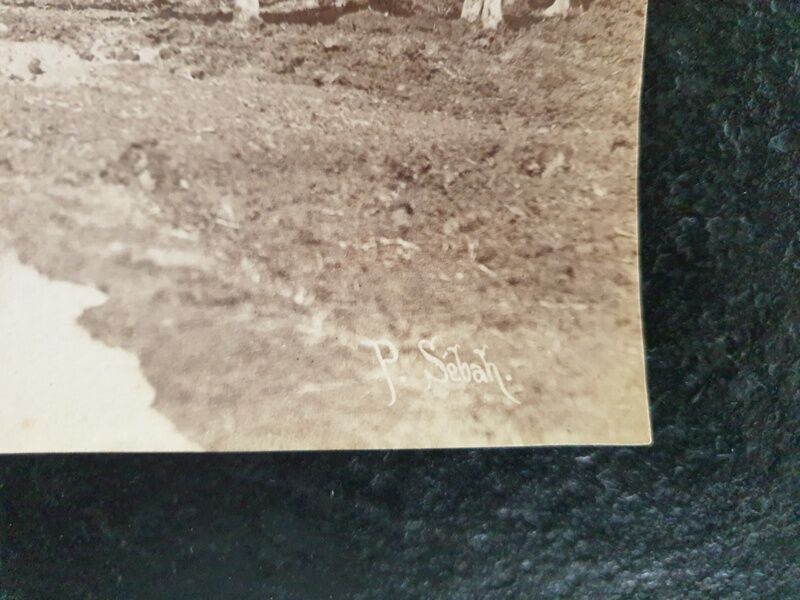 Pascal Sébah (1823-1886) - Photograph, albumen print - The ploughmen, Egypt