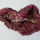 Ancien morceau de corail rose naturel 392g