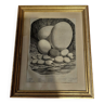 Animal engraving XIXth framed eggs
