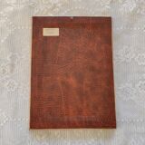 Butterfly taxidermy frame