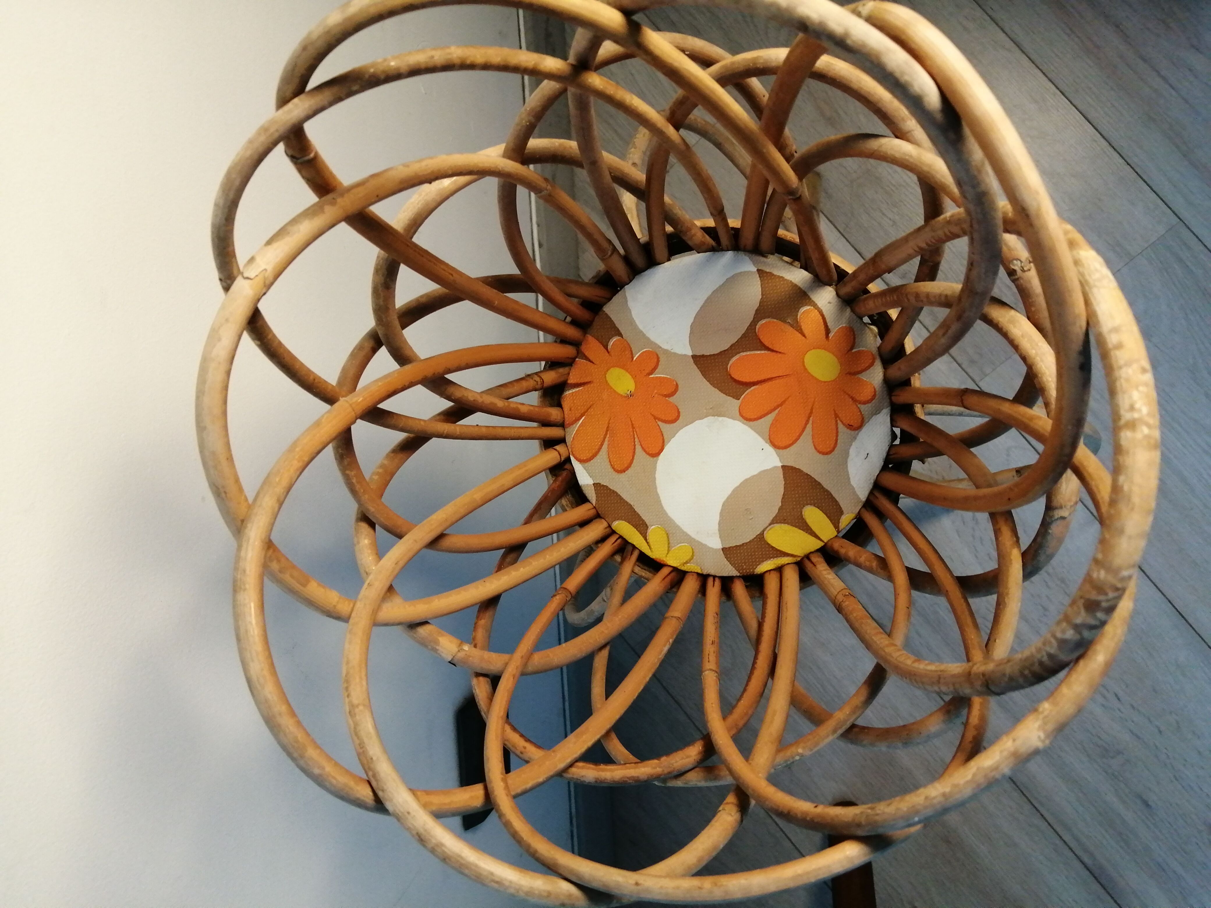 Door rattan plant 60s