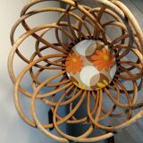 Door rattan plant 60s