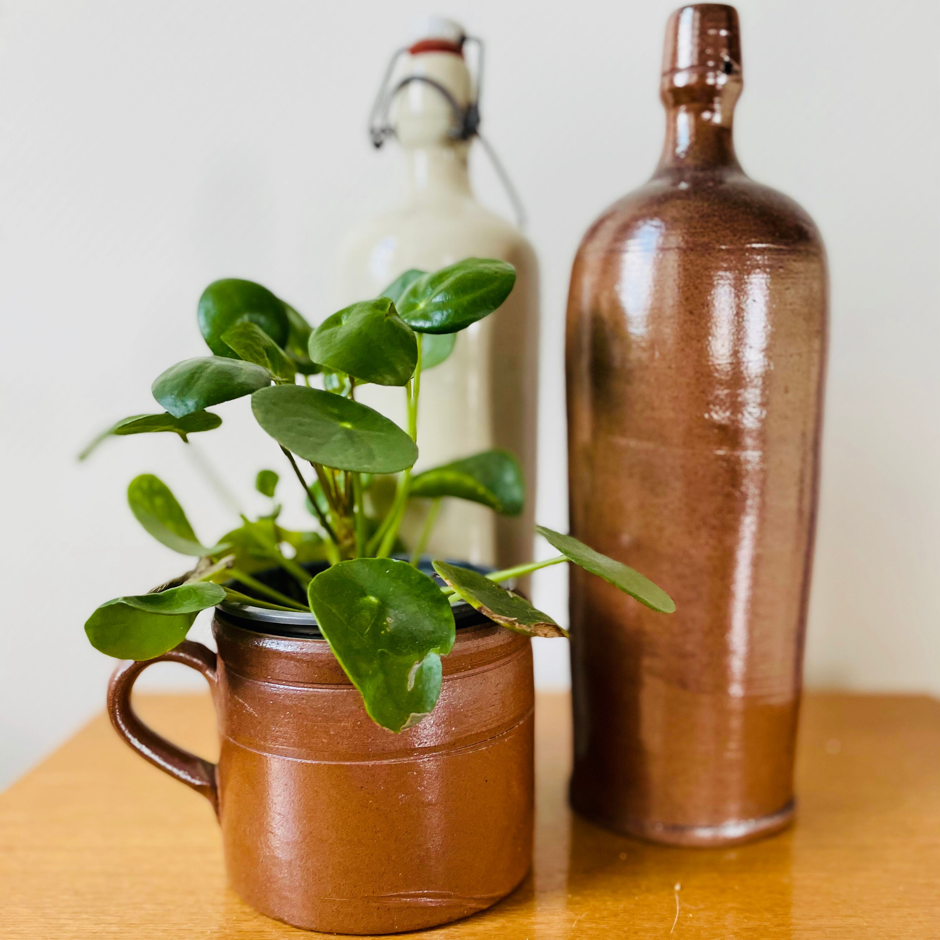 Brown glazed stoneware bottle