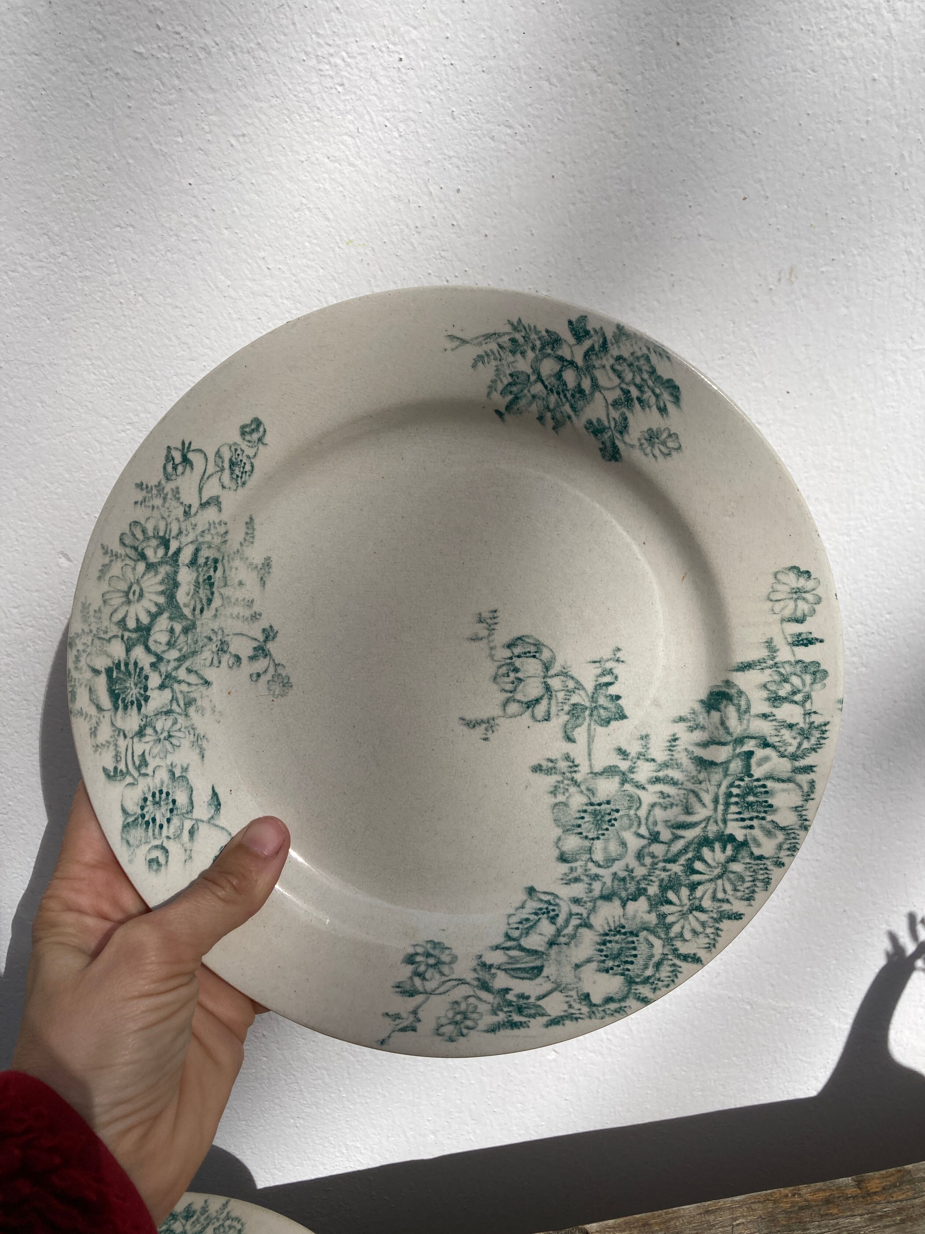 8 Terre de fer plates Anémones Bertrand Bordeaux old in green ceramic decorated with flowers