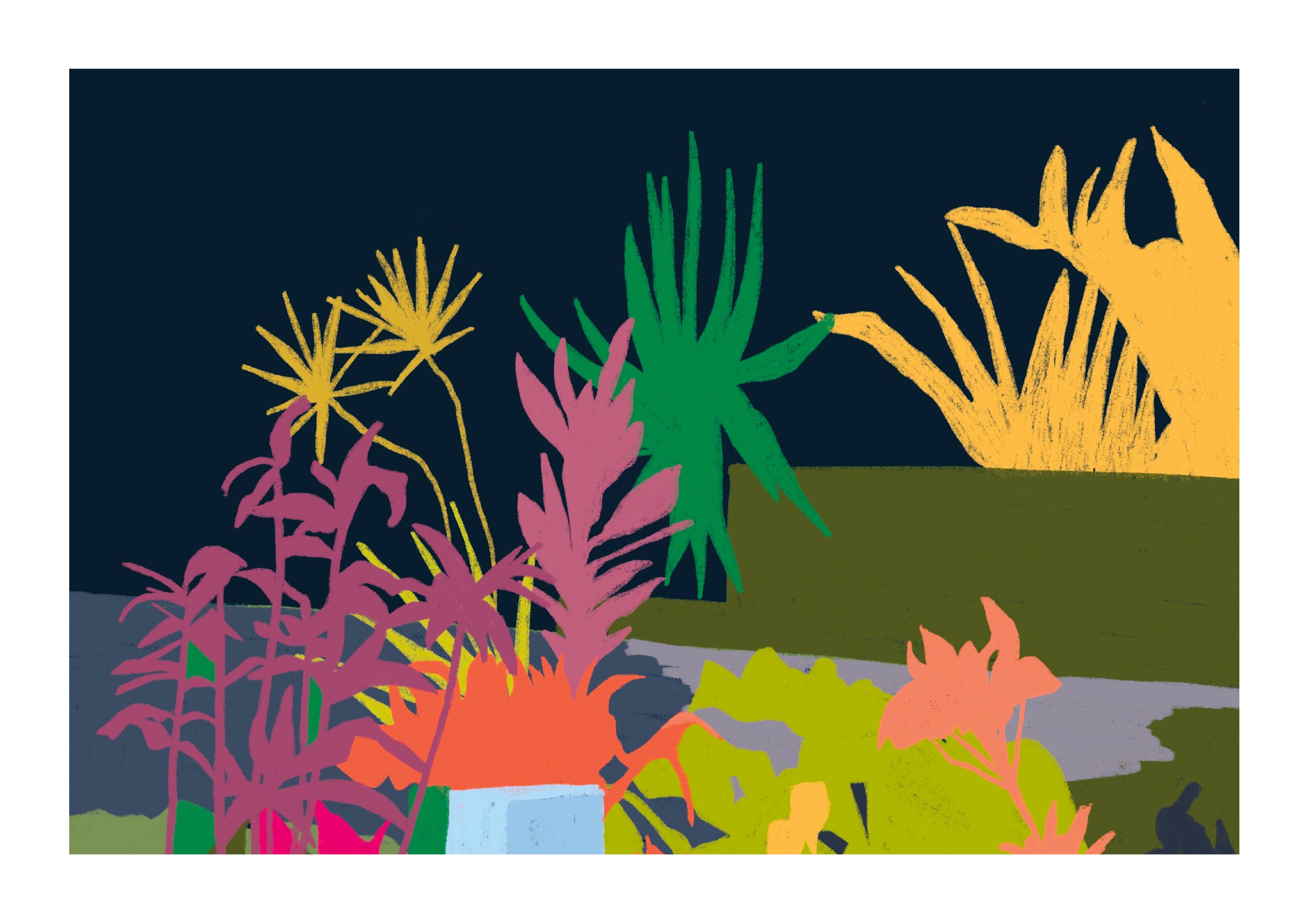 JUNGLE - Illustration A4