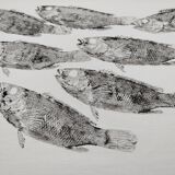 Original print of a school of fish