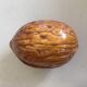 Ancient ceramic nuts