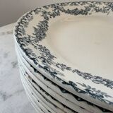 Set of 9 Longwy Earthenware Dinner Plates - Marie-Thérèse Model