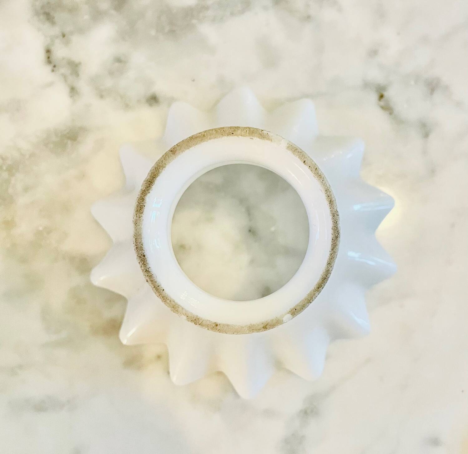 Globe tulips glass lampshade