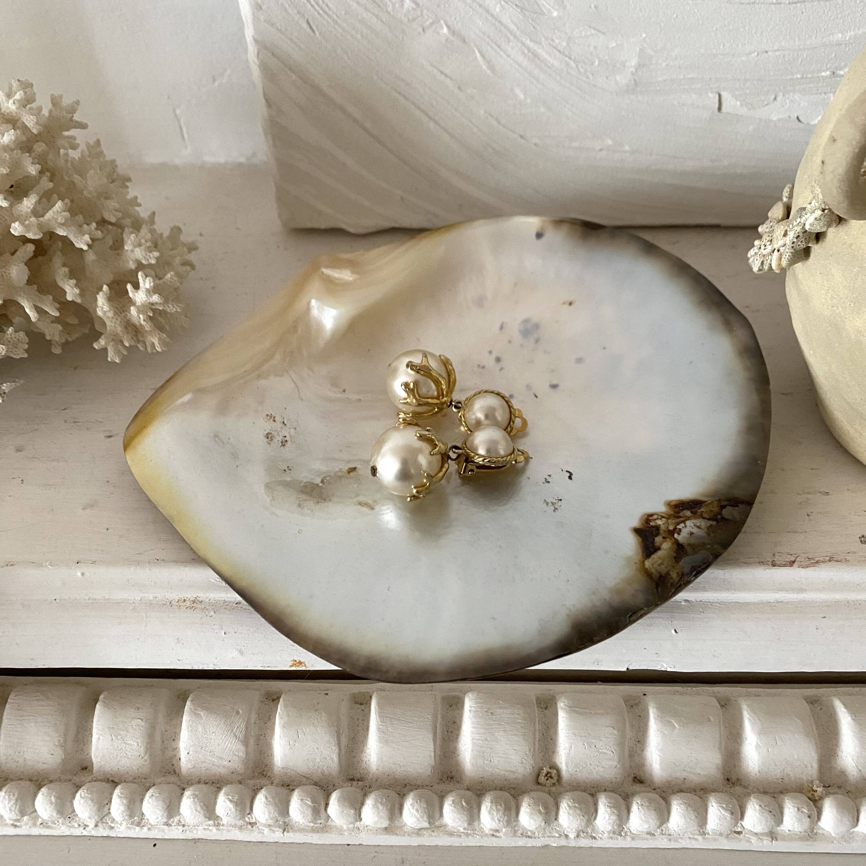Oyster pearl catchall
