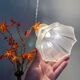 Baladeuse tulipe vintage en verre dépoli