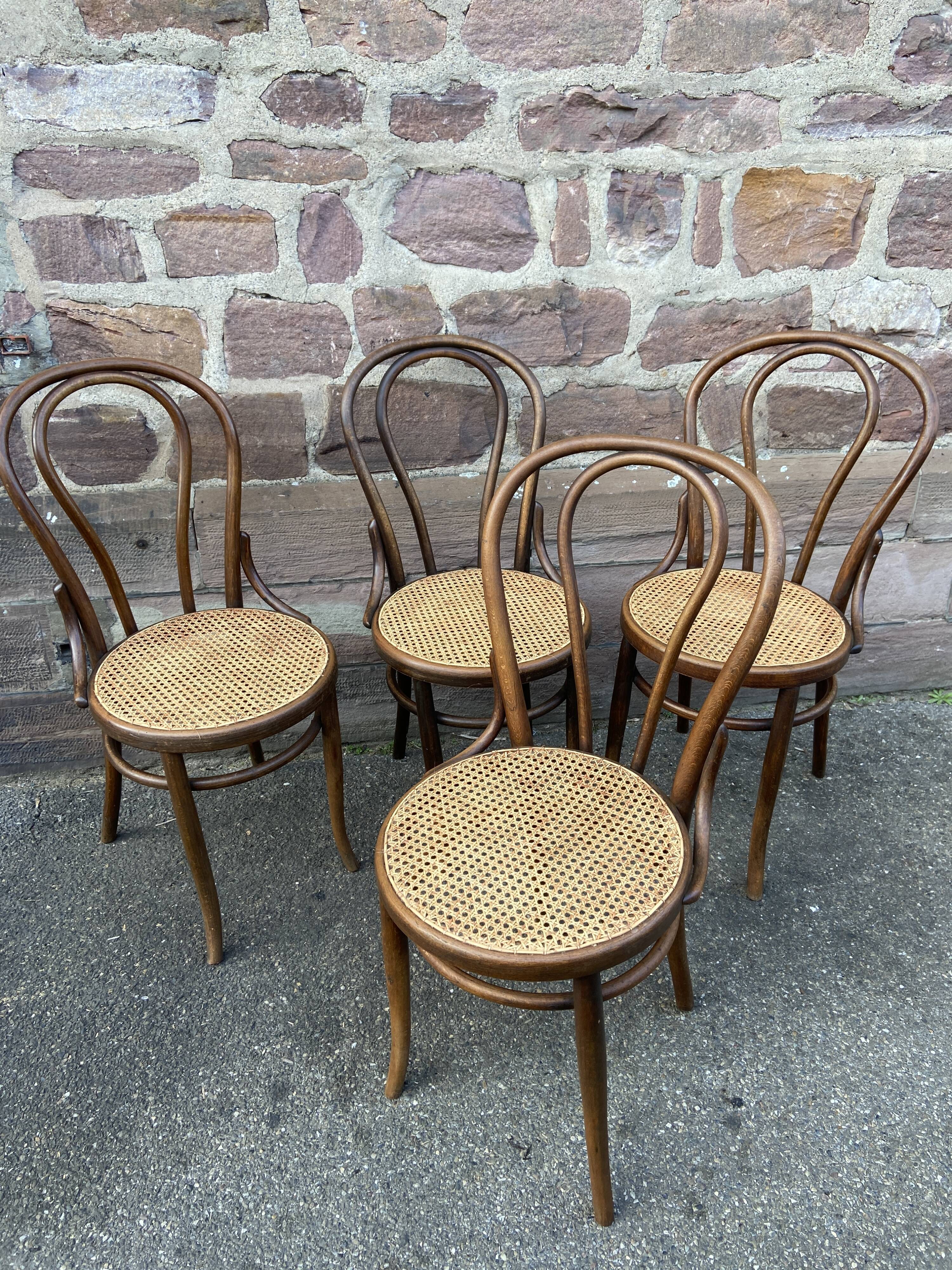 Suite of 4 chairs bistrot Fischel Nr 18 bentwood