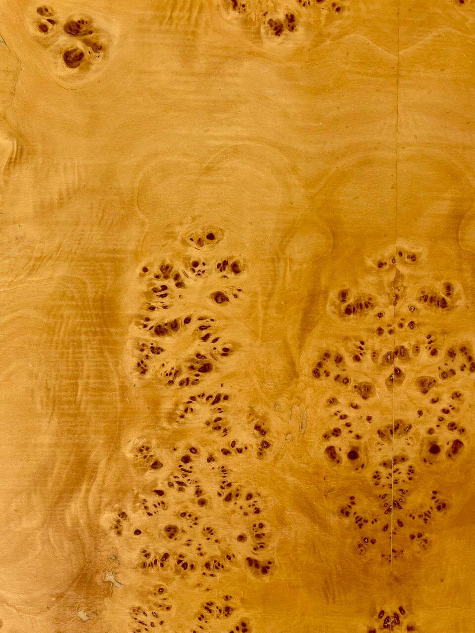 Elm magnifying glass coffee table