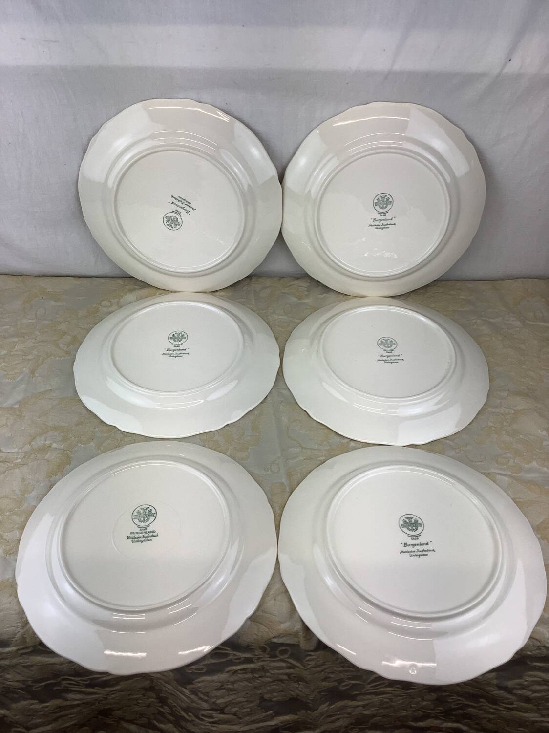 6 Villeroy and Boch Dinner Plates