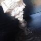 Cabinet of Curiosities 33cm Tutufa Bubo Shell on base