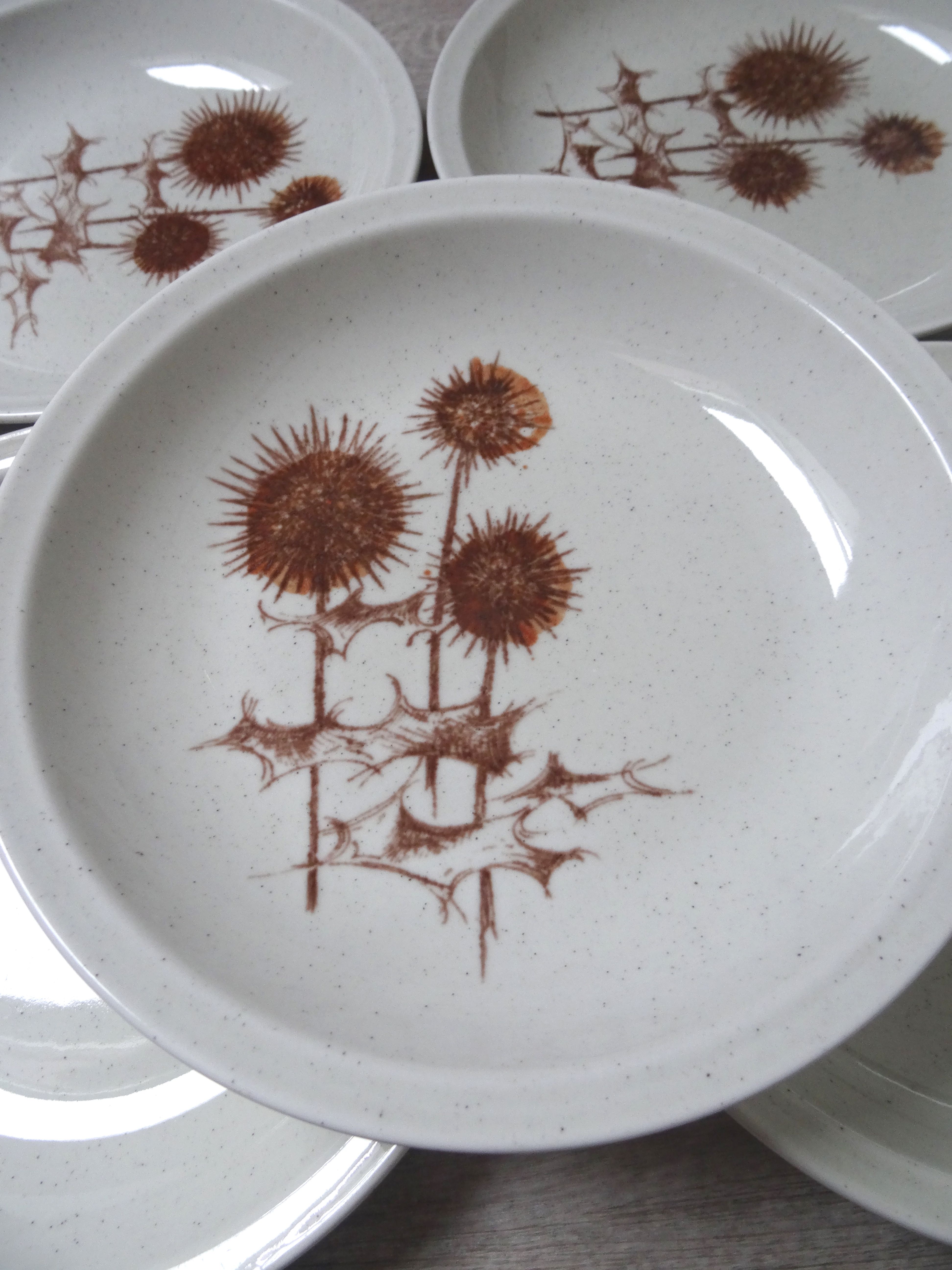 Hollow plates Sarreguemines