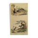 Original zoological plank " sarigues - gerboise - little grey " buffon 1838