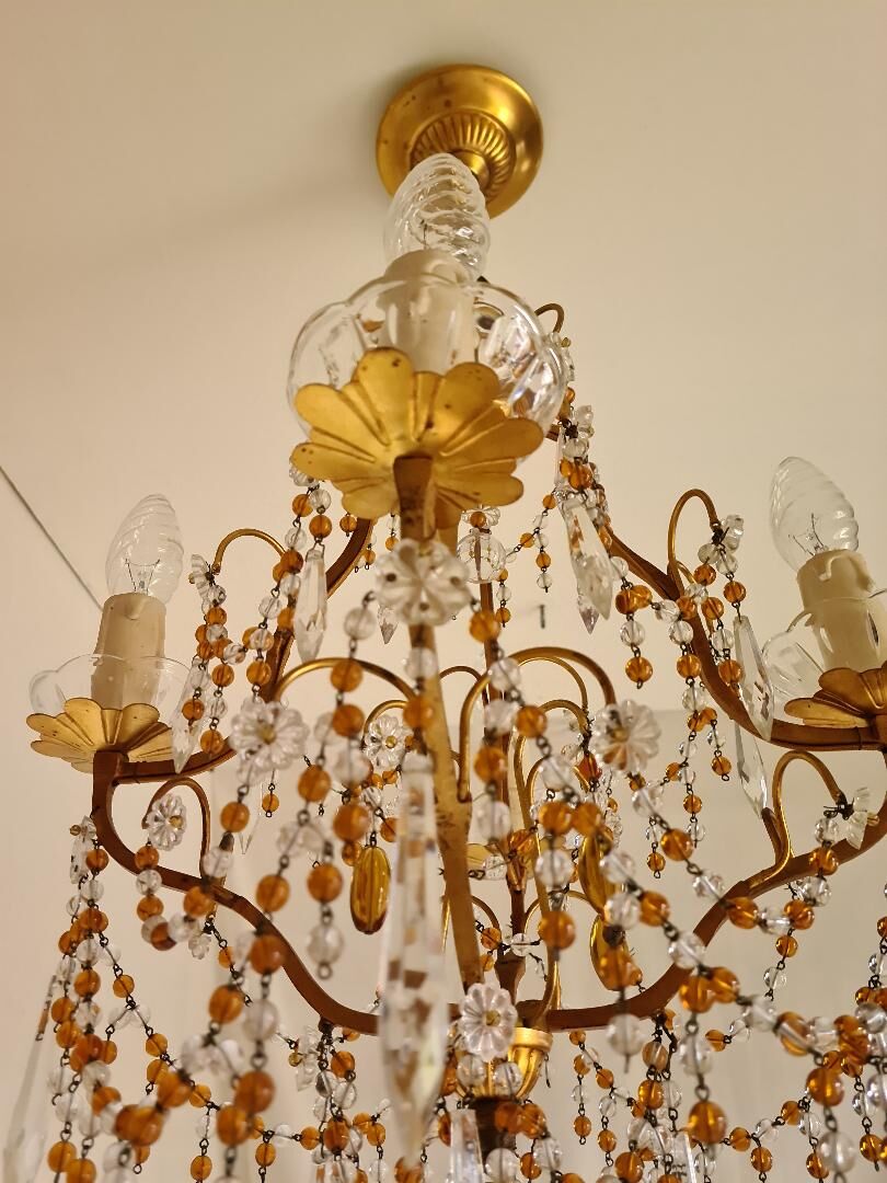 Chandelier cage with 4 lights