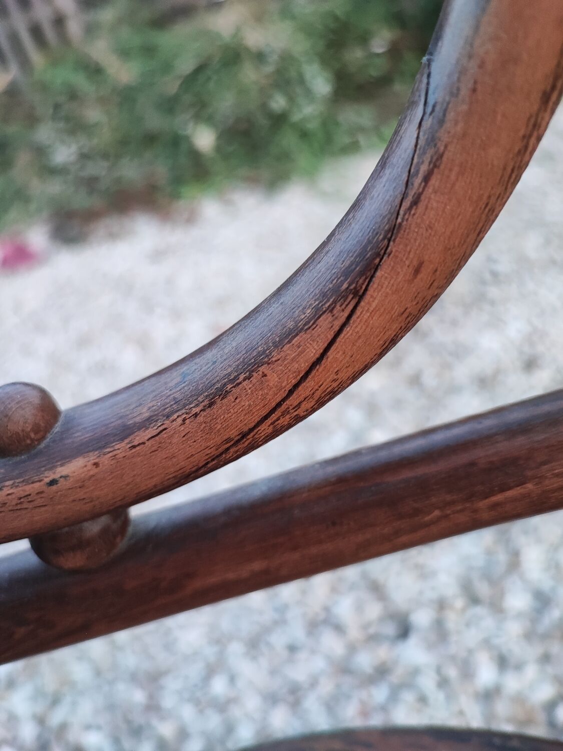 Fischel Austria cane chair