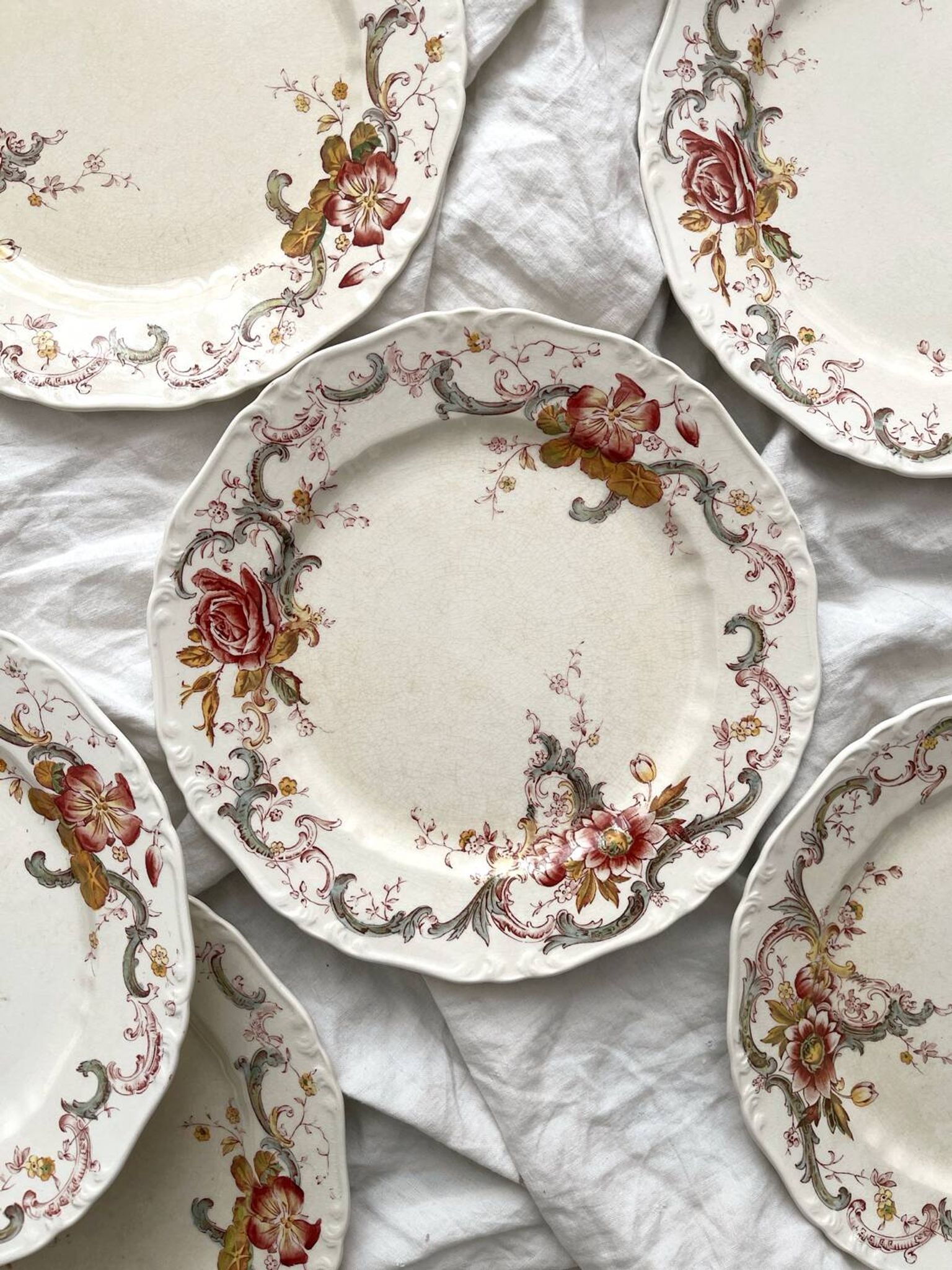 6 polychrome ironstone dinner plates "Wentworth" by Emile Bourgeois