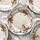 6 polychrome ironstone dinner plates "Wentworth" by Emile Bourgeois