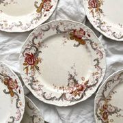 6 polychrome ironstone dinner plates "Wentworth" by Emile Bourgeois