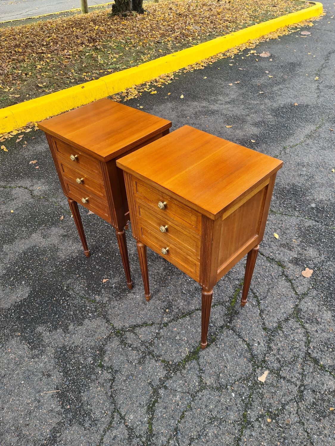 Pair of Louis XVI bedsides