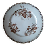 Badonvillers plates