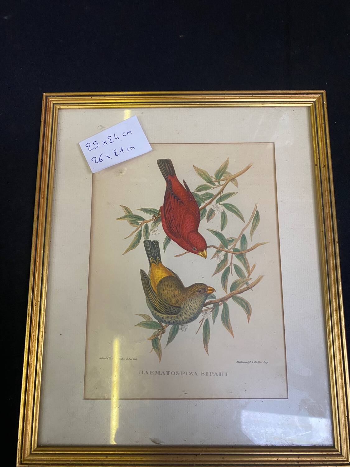 Set of 8 gilded wood or resin or vintage brass frames