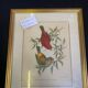 Set of 8 gilded wood or resin or vintage brass frames